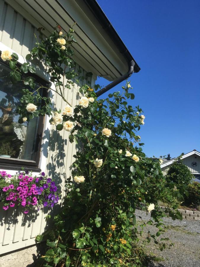 Airbnbekasberg Olofstorp Экстерьер фото