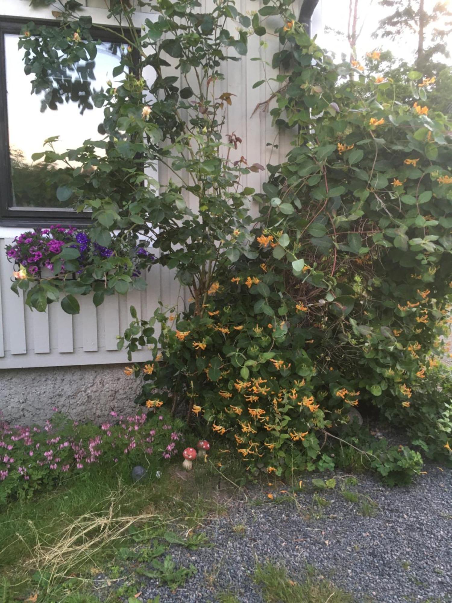 Airbnbekasberg Olofstorp Экстерьер фото