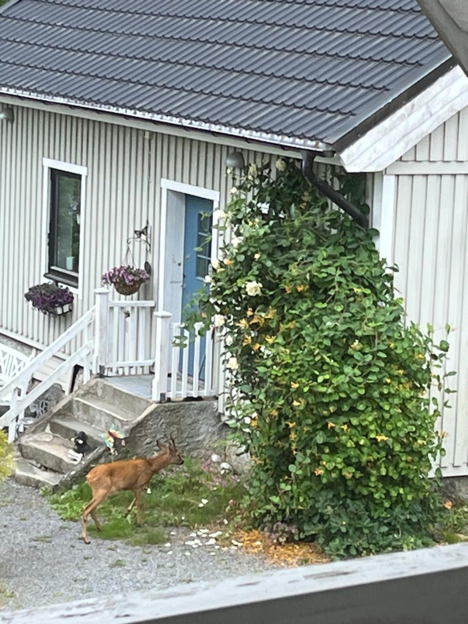Airbnbekasberg Olofstorp Экстерьер фото